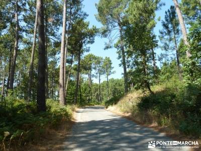 Pinares de Piedralaves;escaladores de madrid sierra de ayllon senderismo joven madrid